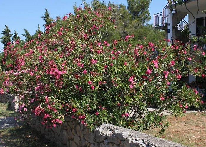With A Parking Space Starigrad, Paklenica - 6647 Appartement Starigrad Paklenica