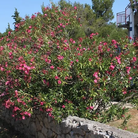 With A Parking Space Starigrad, Paklenica - 6647 Apartment Starigrad Paklenica