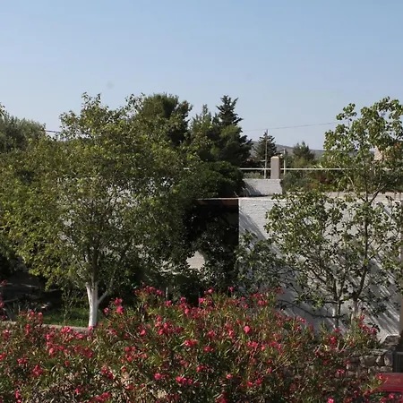 With A Parking Space Starigrad, Paklenica - 6647 Apartment Starigrad Paklenica